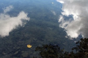Dangaus vanduo. Ričardo Šileikos nuotrauka