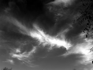 Rudeniški dangūs. Fotografavo Linas Daugėla